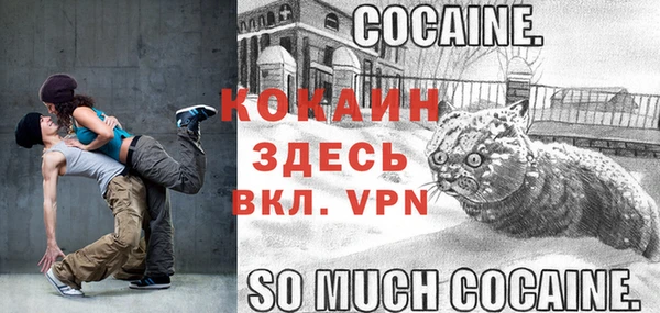 крисы Медвежьегорск